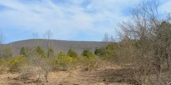 Lot 3 and 4 GROSBEAK DRIVE