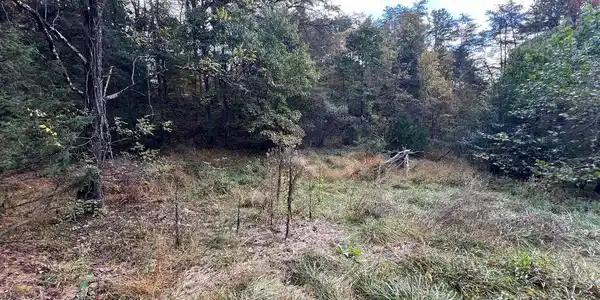 Lot 6 DEEP RUN HOLLOW ROAD