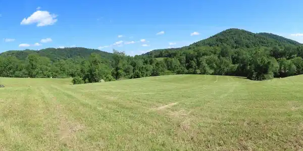 BEN VENUE