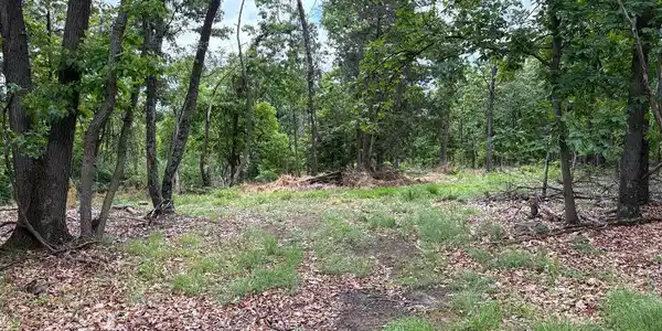 40.15 Ac MIDDLE RIDGE ROAD