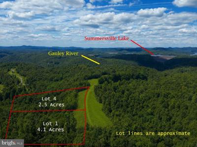 Lot 1 GAULEY RIDGE ROAD