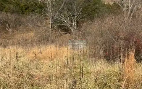 866 WILDLIFE DRIVE