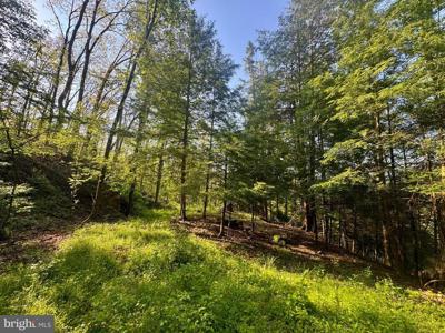 TRACT A - JOHN ORR ROAD