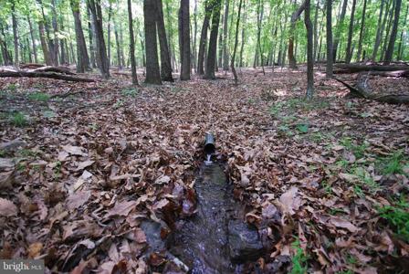 Lot 67 MILL MOUNTAIN ROAD