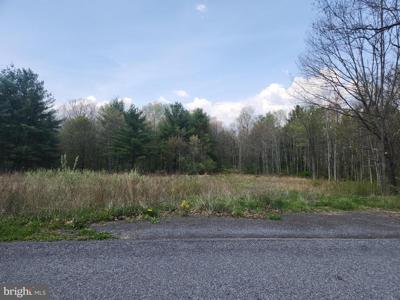 Lot 3 FICKES ROAD