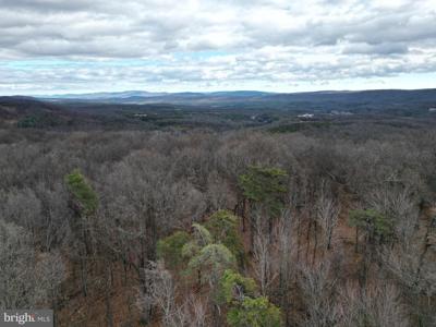Lot 70 & 71 MILL MOUNTAIN ROAD