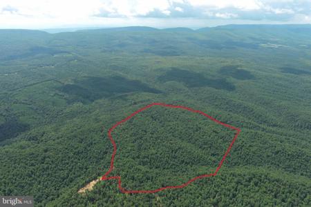 113 ACRES OFF CAPON SPRINGS ROAD