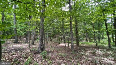 LOT 61 BRISTOL SPRINGS WAY