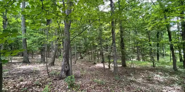 LOT 61 BRISTOL SPRINGS WAY