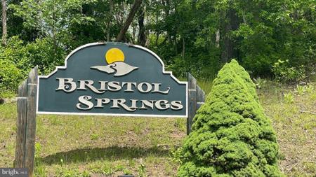 LOTS 19-20 BRISTOL SPRINGS WAY
