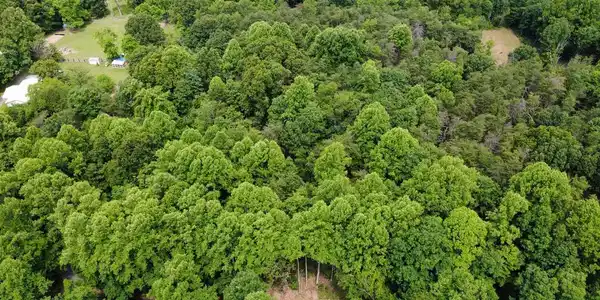 LOT 3B CRITTON OWL HOLLOW ROAD