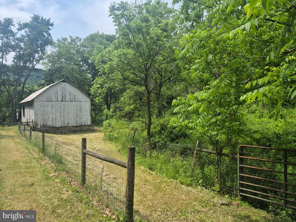 Image 4