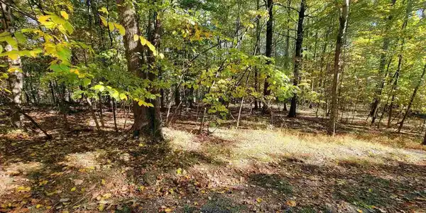 41 HICKORY SPRING RD