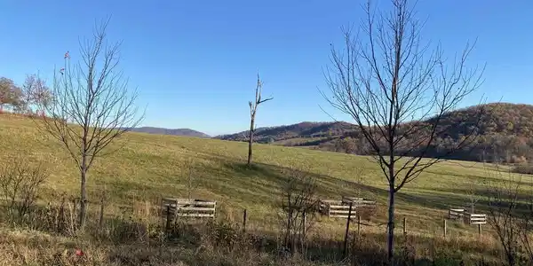 TBD BALLYSHANNON LN