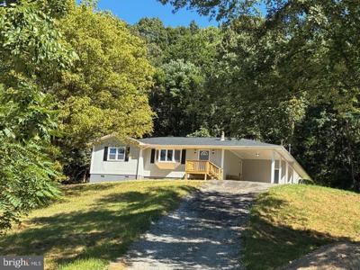 207 VIEW MOUNTAIN ROAD