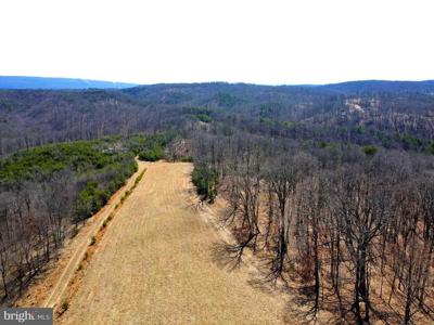 1131 BROAD HOLLOW ROAD