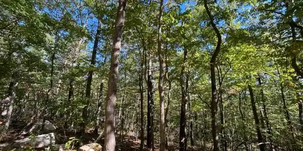 0 STAGG TRAIL
