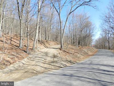 18.87 Acres ELBINSVILLE ROAD
