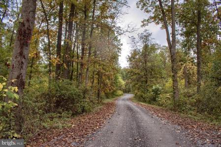 MOUNTAIN ROAD