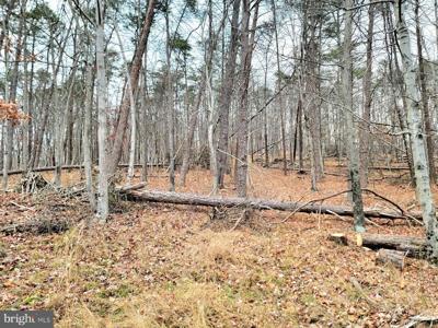 Lot 33 CIRCLING HAWK LANE