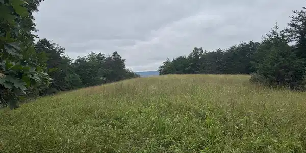574 MOUNTAIN SLOPE LANE