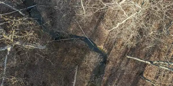LOT 1 BACK CREEK RD