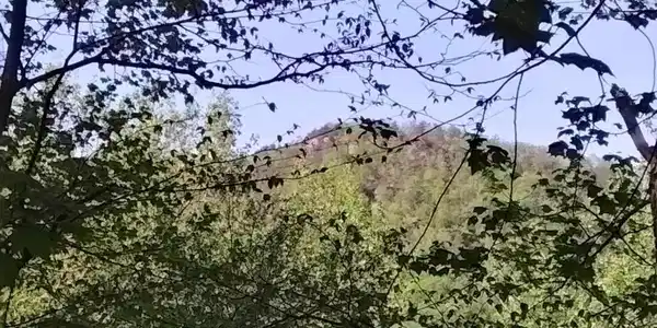 TBD OLD BLUE RIDGE TPKE