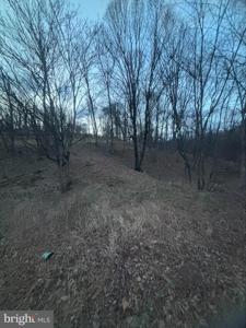LOST RUN