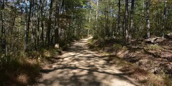 33+ ACRES QUAIL RUN LANE