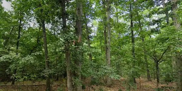 00 LEVEL HILL ROAD
