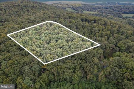 1 JUNIATA FURNACE LANE