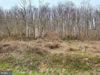 LOT 11B LUCAS HOLLOW ROAD