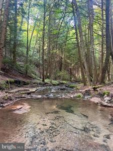 2500 BEECH CREEK MOUNTAIN ROAD