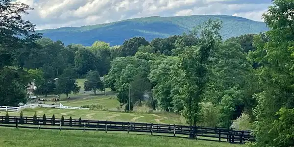 BURCHS CREEK RD