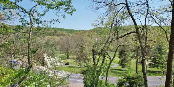 343 RESORT DRIVE