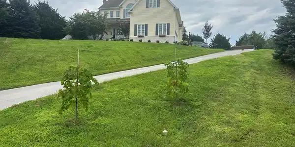 2605 RISING ROCK COURT