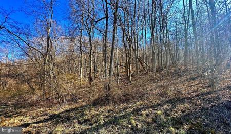 30 Ac DUMPLING RUN ROAD