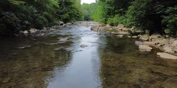 ABRAMS CREEK - OAKMONT, WV