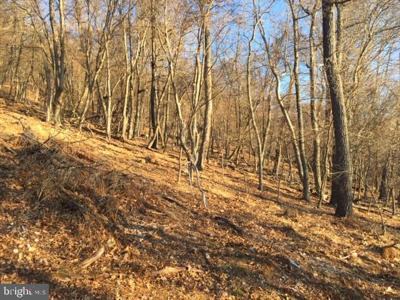 RT 5/10 (BUFFALO HILLS ROAD)
