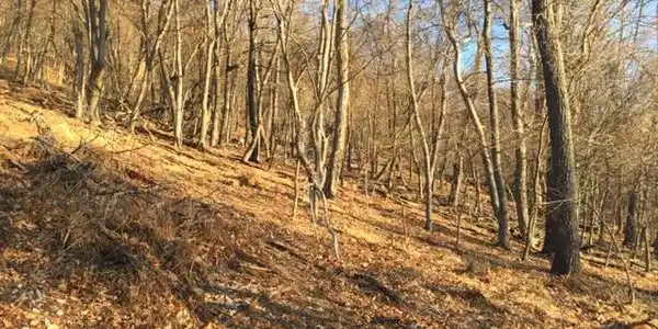 RT 5/10 (BUFFALO HILLS ROAD)