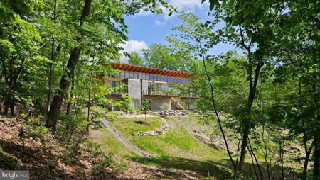 559 BESSIE BELL MOUNTAIN ROAD