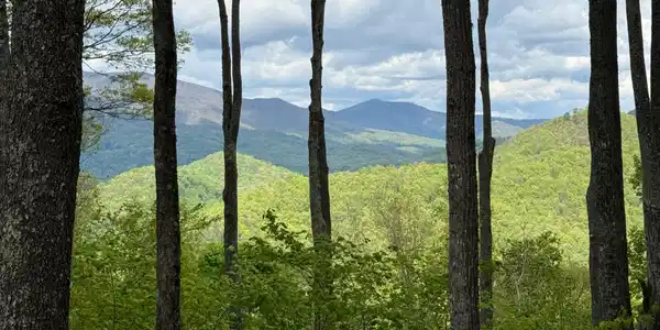 Image 3 Image 3