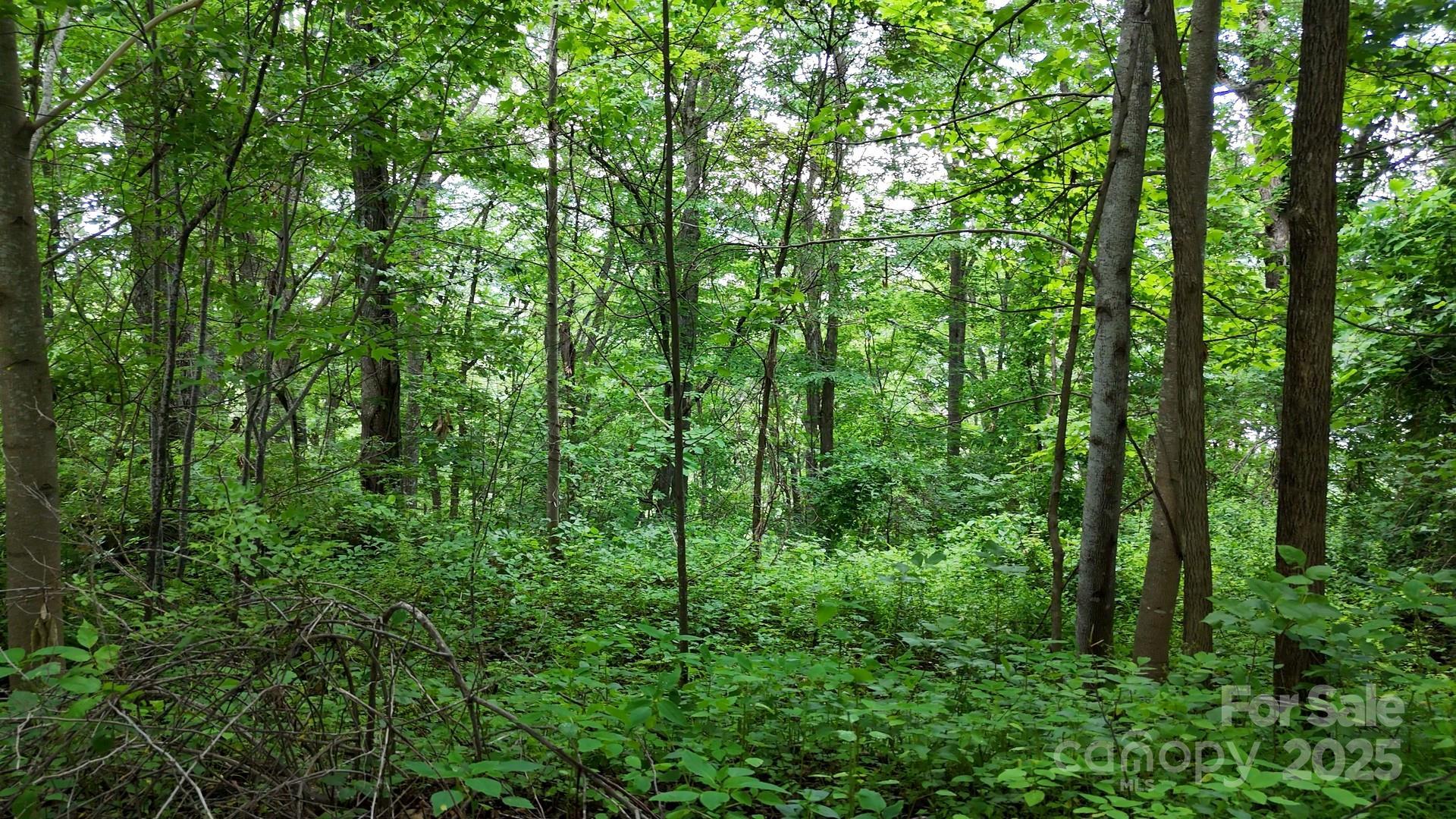 Image 4 Image 4