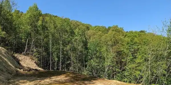 Image 4 Image 4