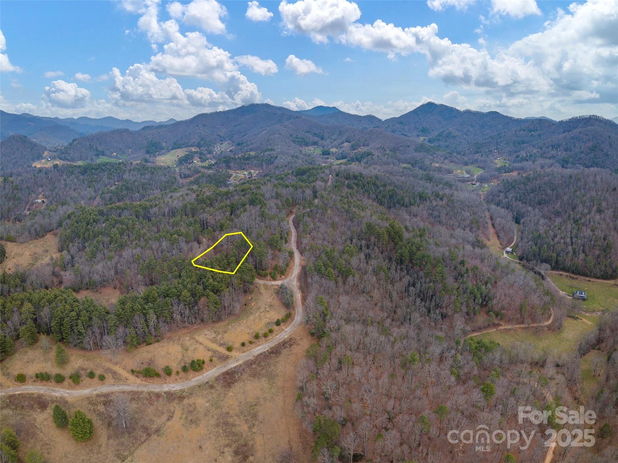 Image 1 Image 1