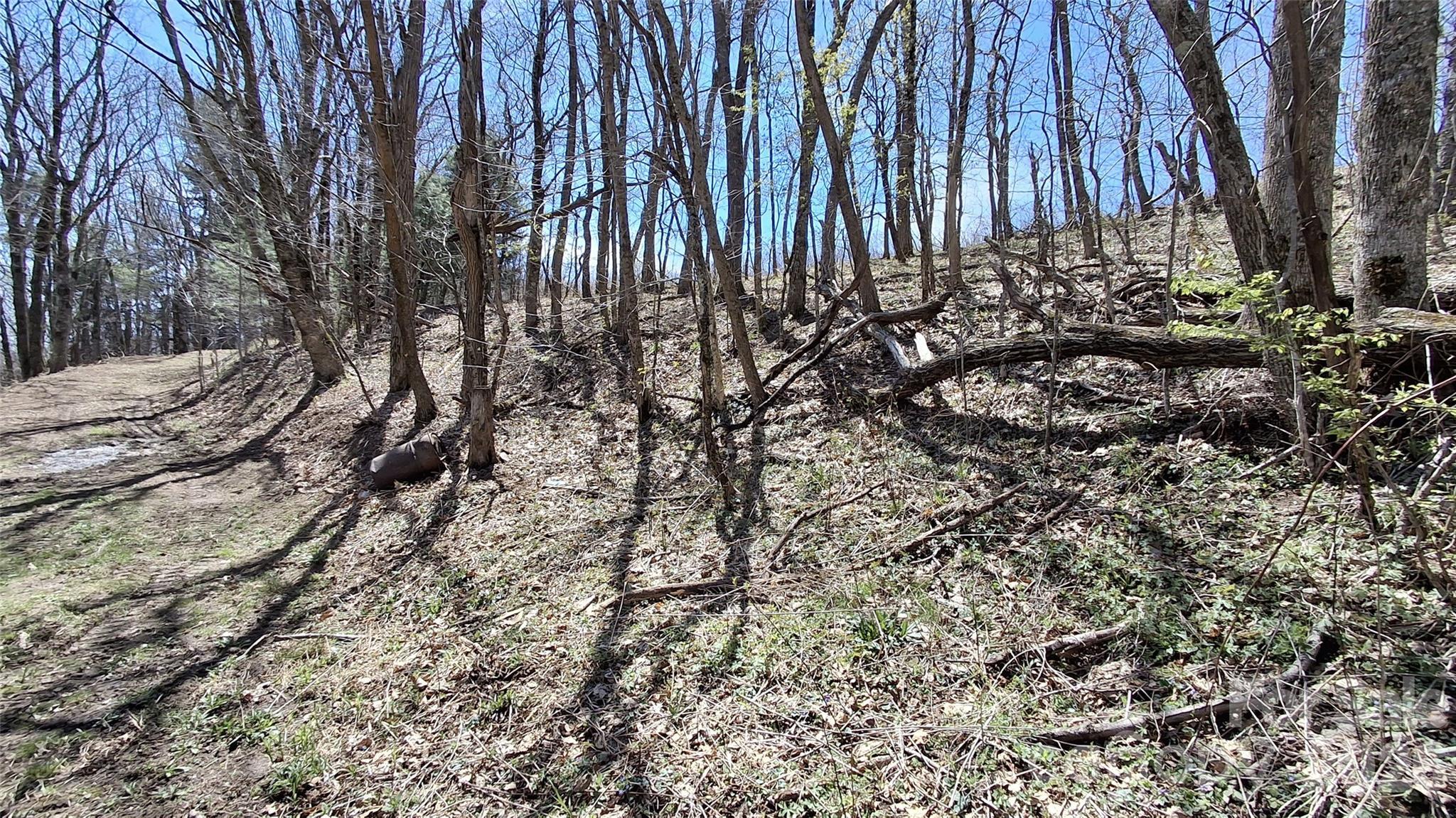 Image 4 Image 4