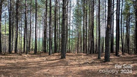 114 Table Rock Trace NW