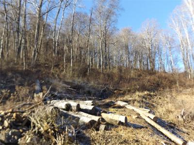 00 Kims Cove Road