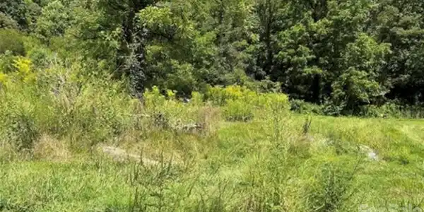 Image 4 Image 4