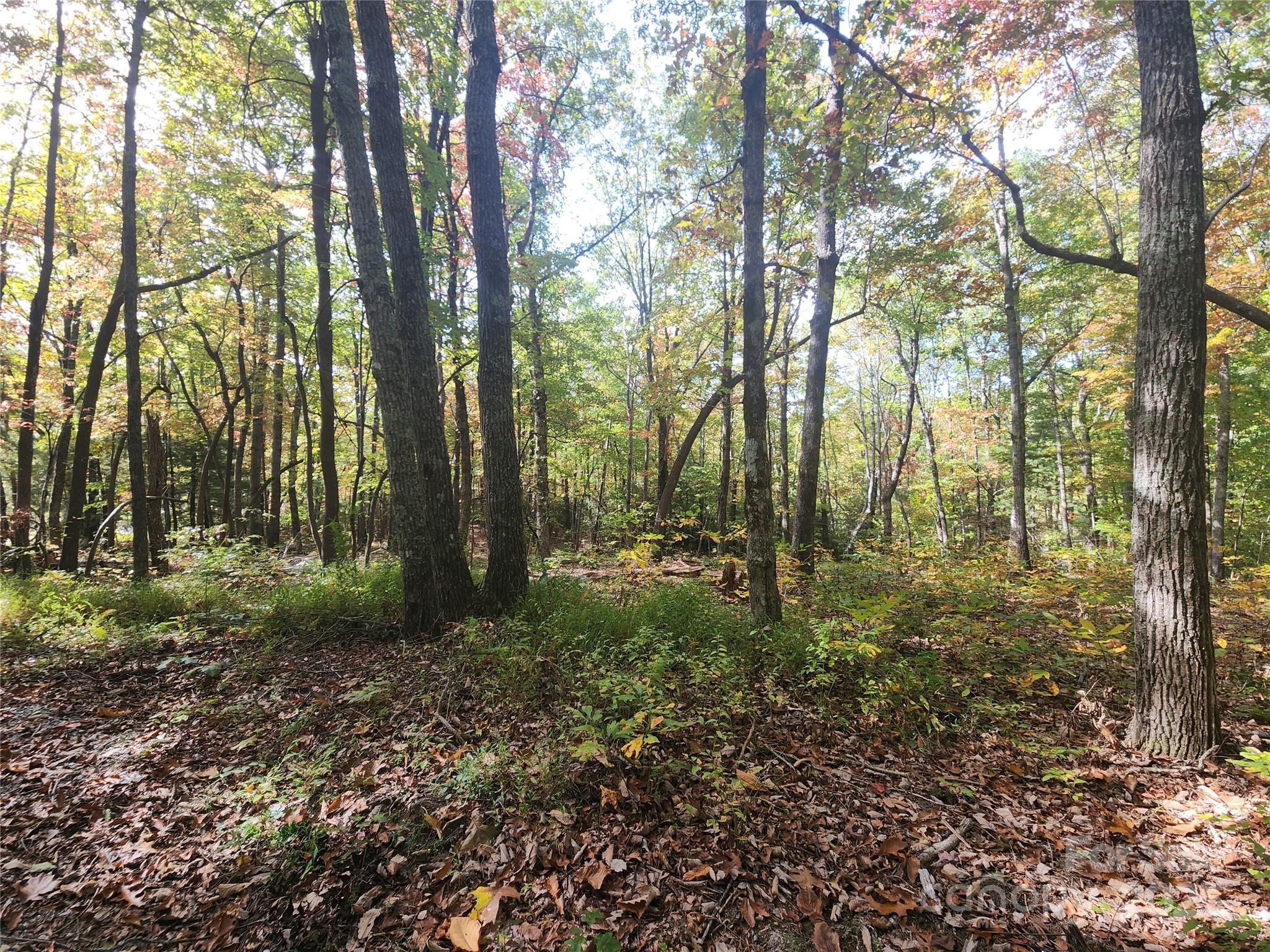 Image 3 Image 3